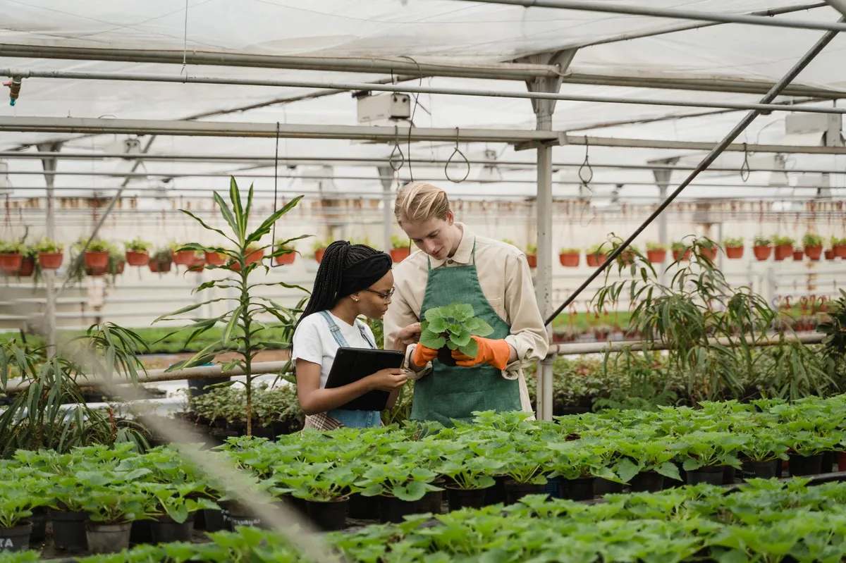 FDA inspection of plant
