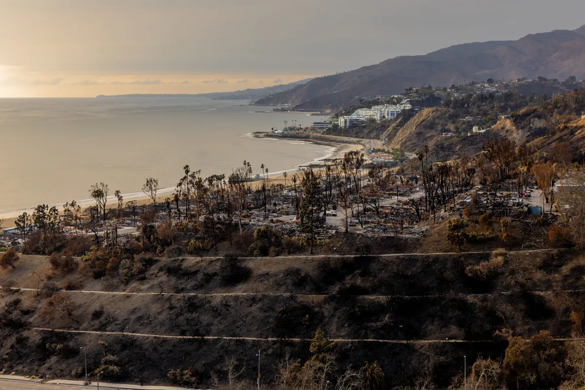 California's Wildfire Crisis: Luxury Homes Straining Insurance Resources California's Wildfire Crisis: Luxury Homes Straining Insurance Resources