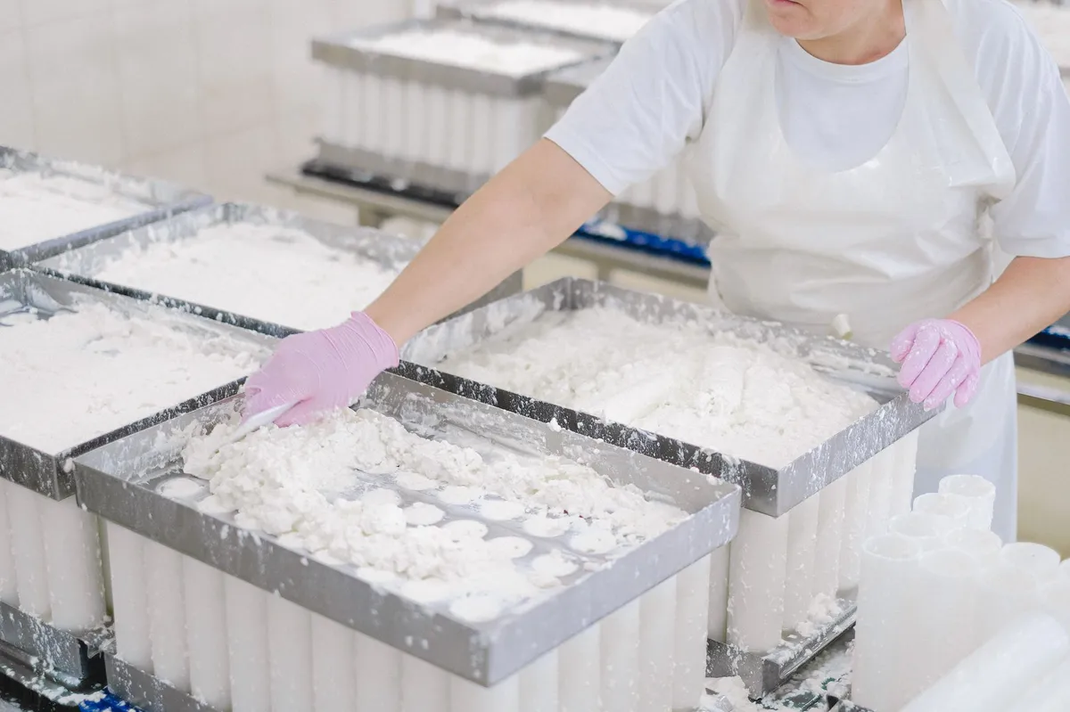 production line in dairy factory