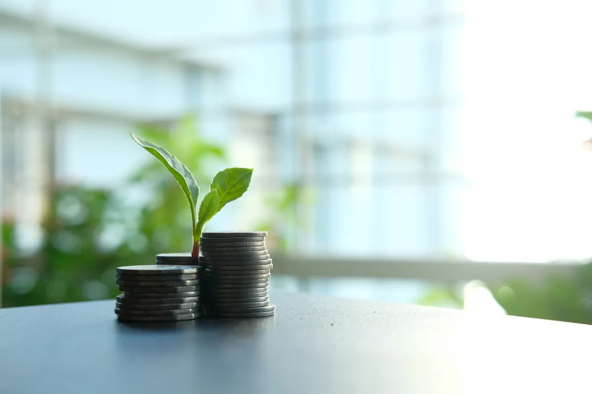 investment and growth