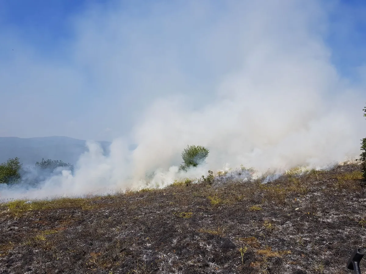 wildfire smoke rising