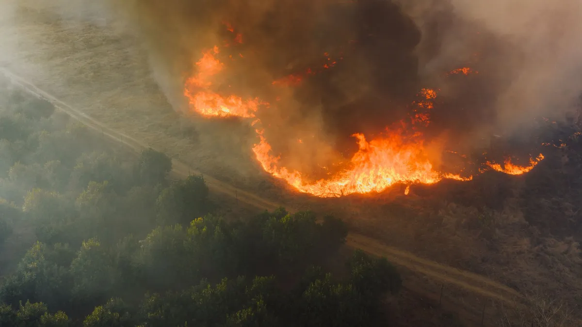 heat wave impact