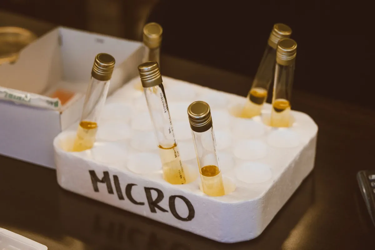 laboratory testing food samples