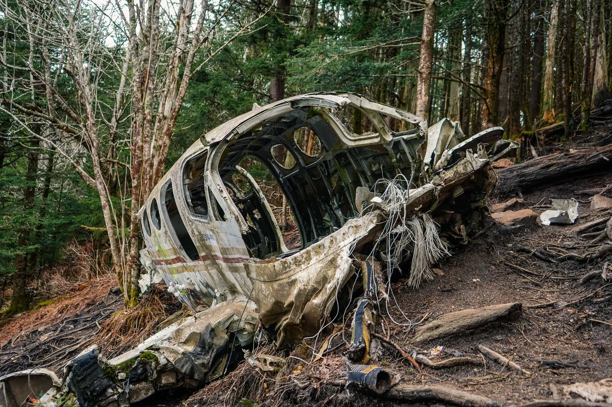 aviation accident investigation