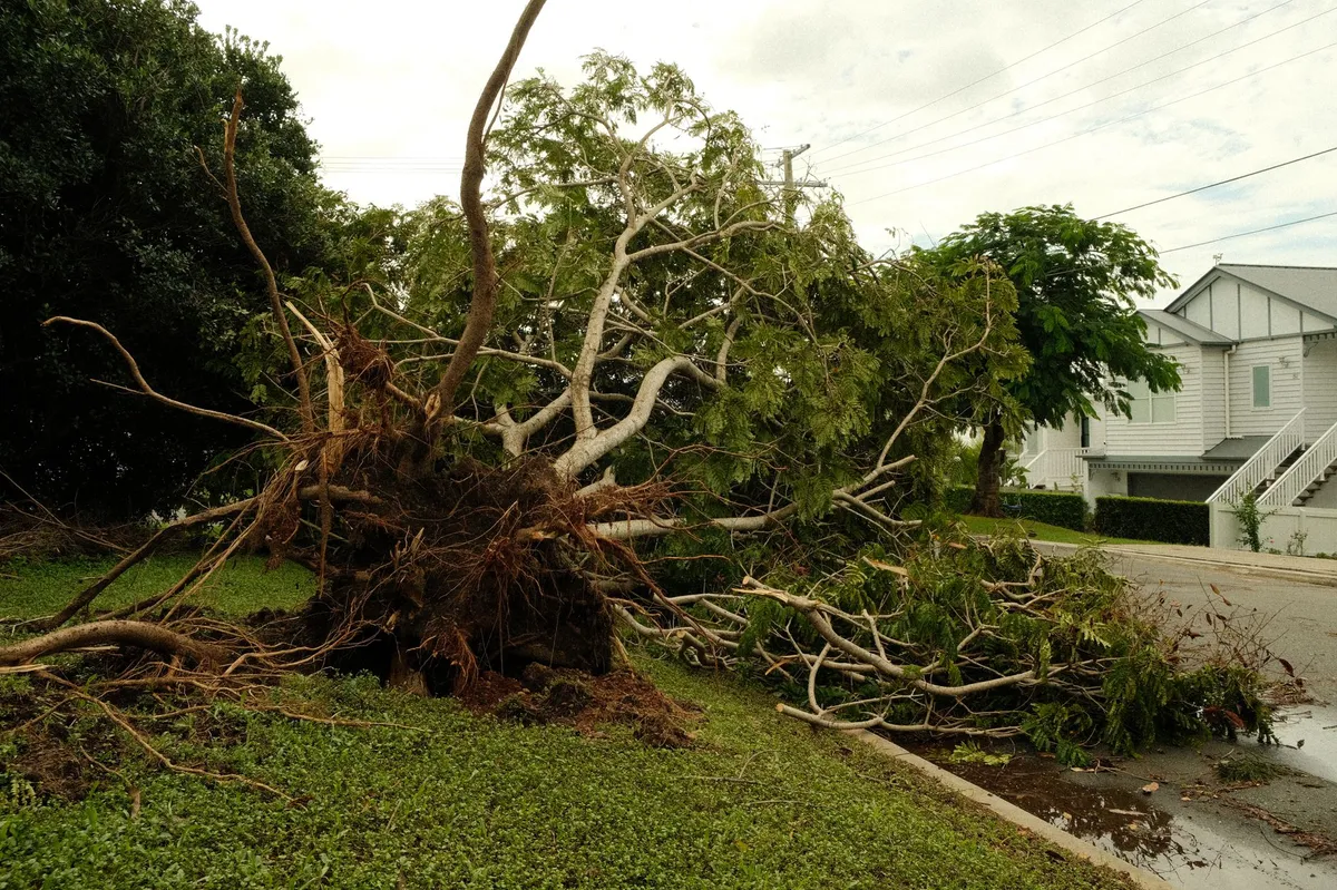 storm damage recovery