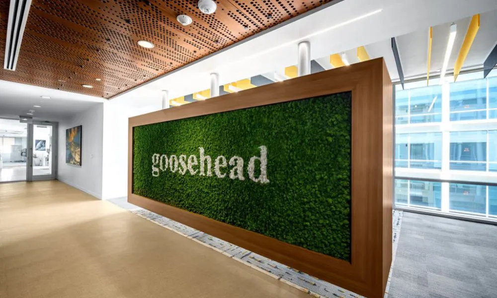 Goosehead Insurance Appoints New CEO Amid Record Premium Growth
