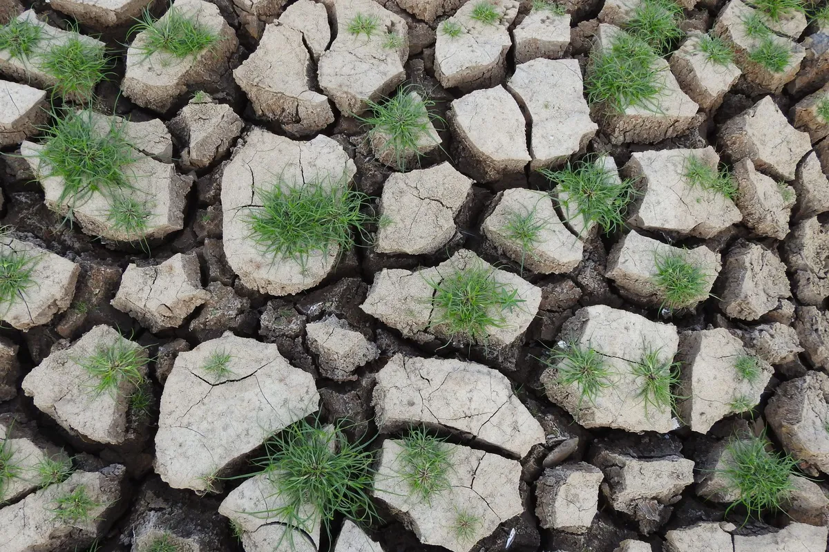 business meeting climate resilience