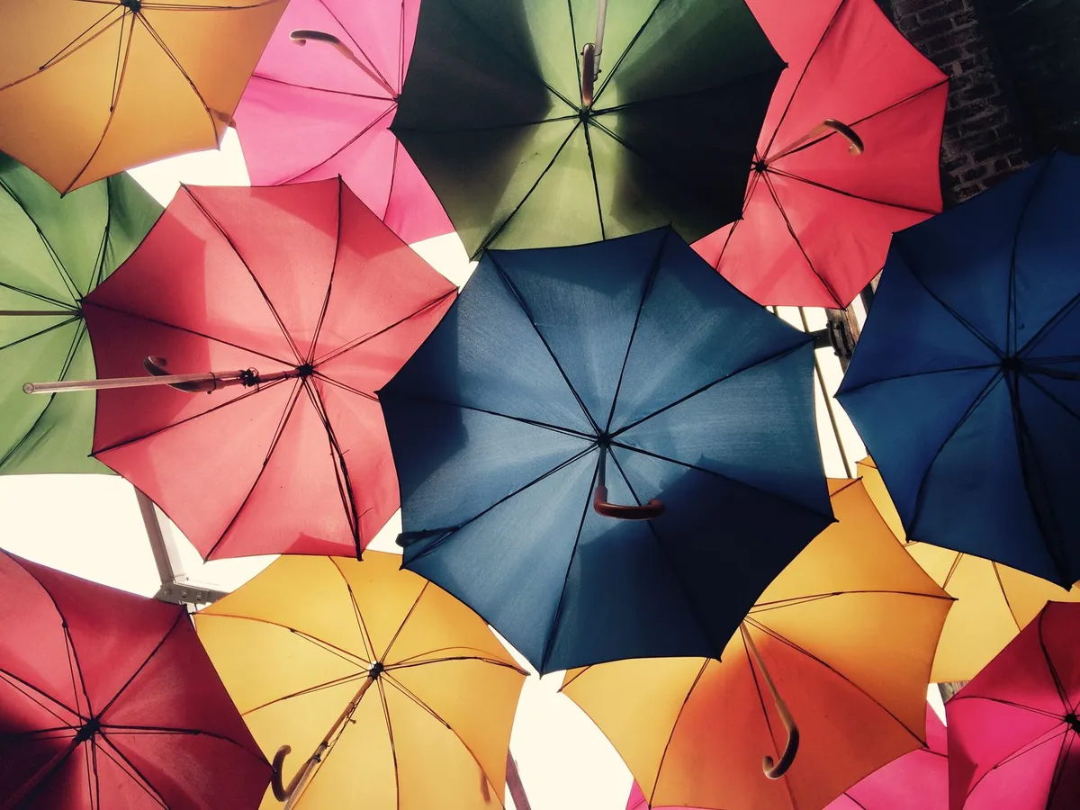 fine art insurance