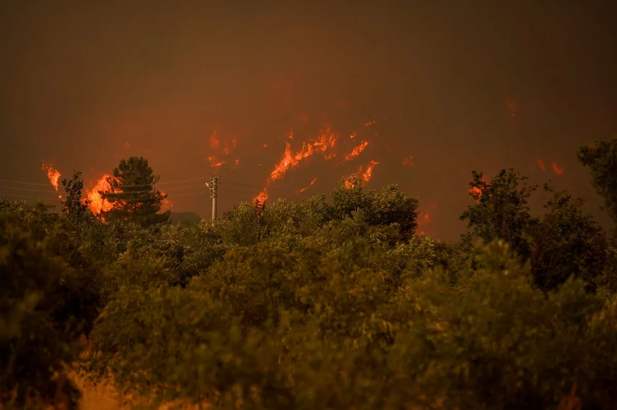 wildfire smoke skies