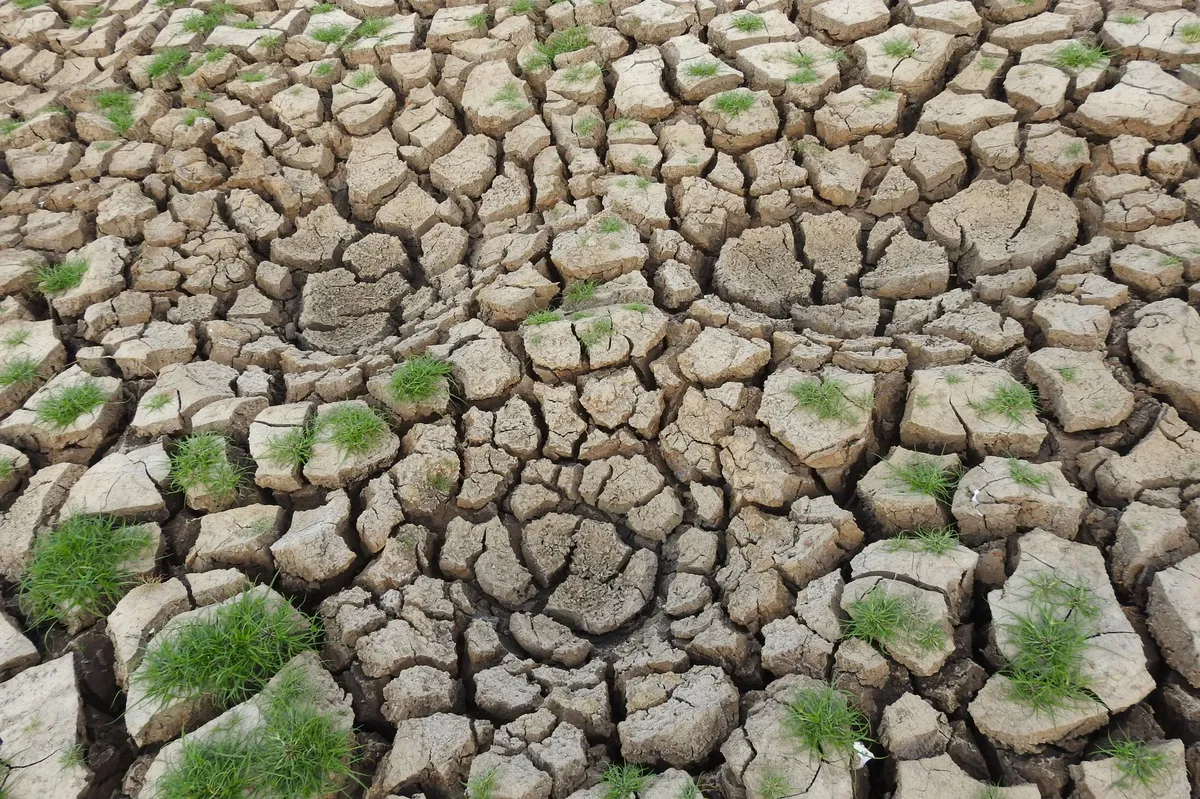 climate change impact