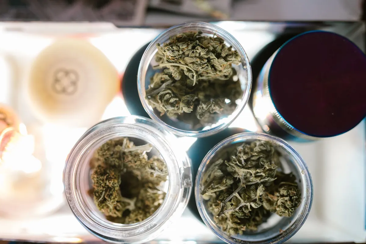 cannabis dispensary interior