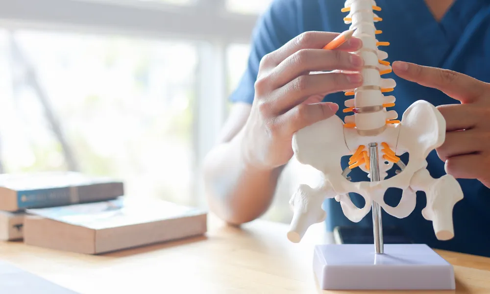 New York Court Upholds Chiropractor's No-Fault Award Against American Transit