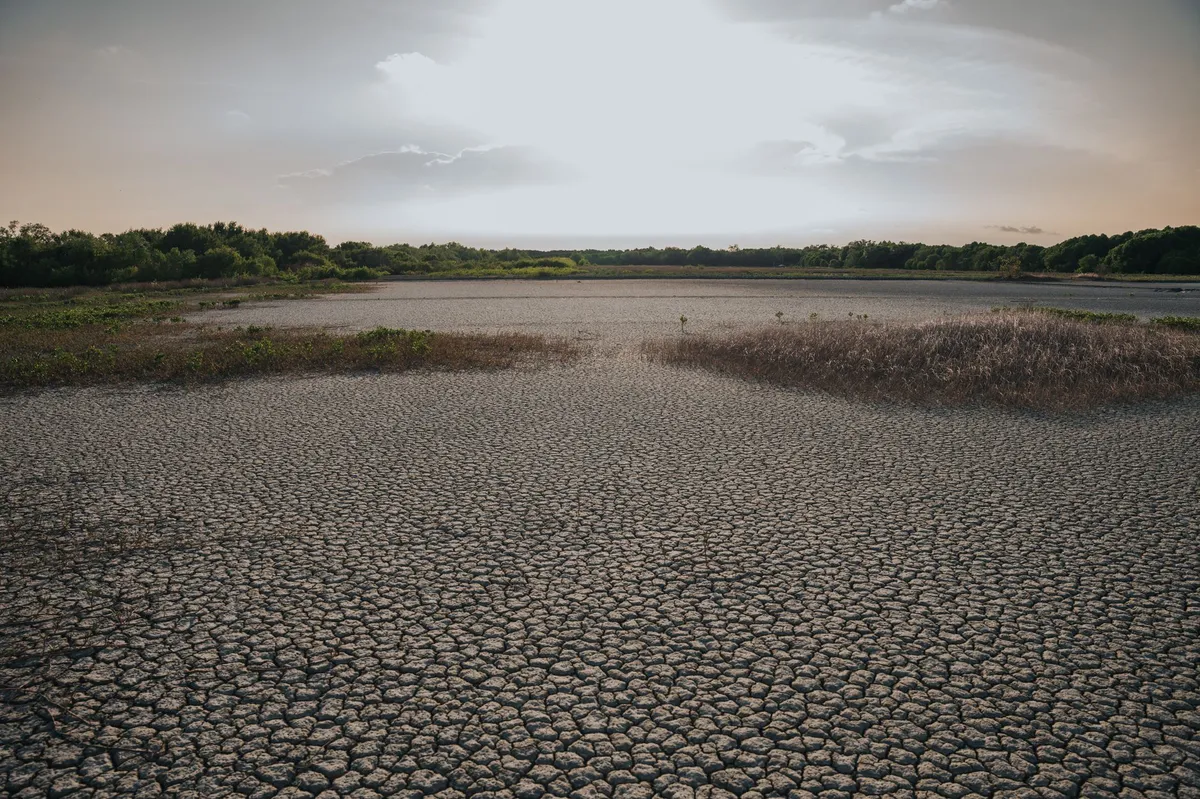 heatwave landscape