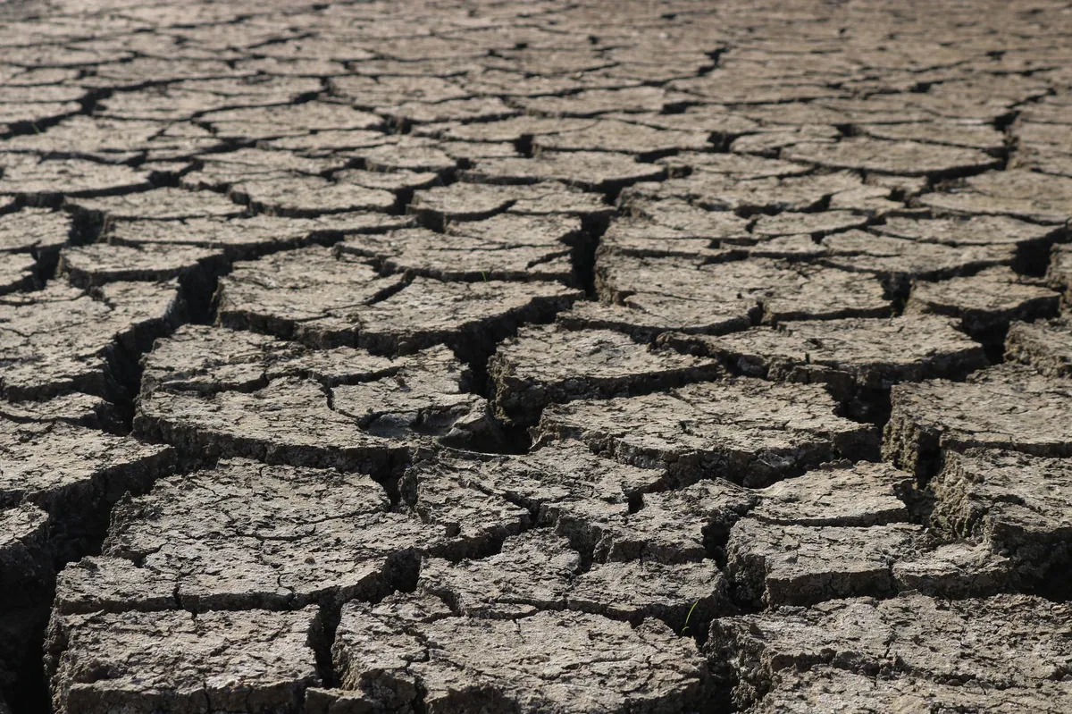 climate change risk analysis