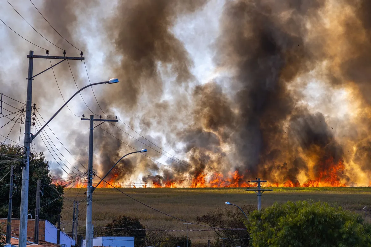 wildfire smoke over urban landscape