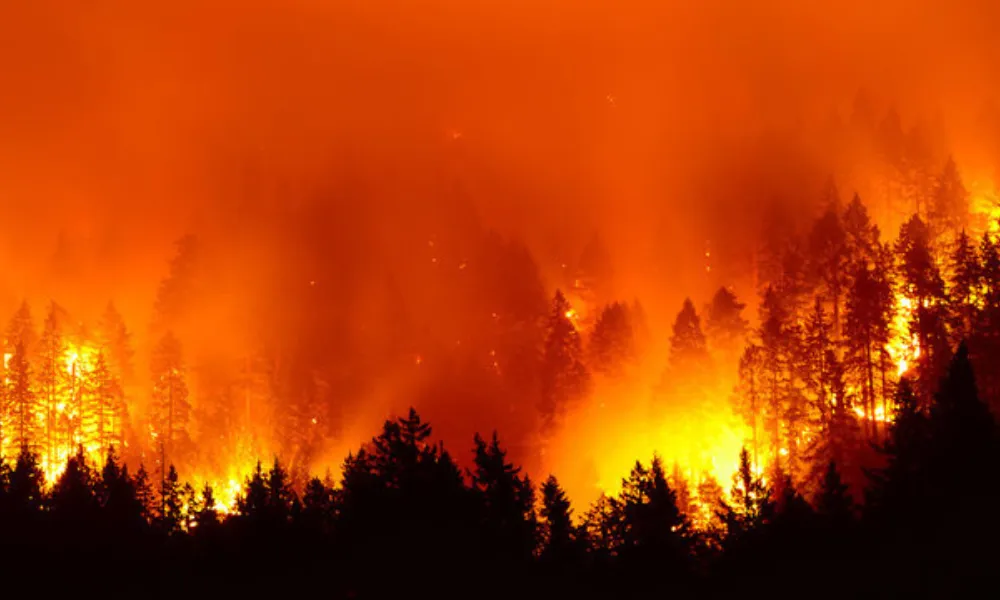 The Impact of Canadian Wildfires on US Insurers: A Growing Challenge