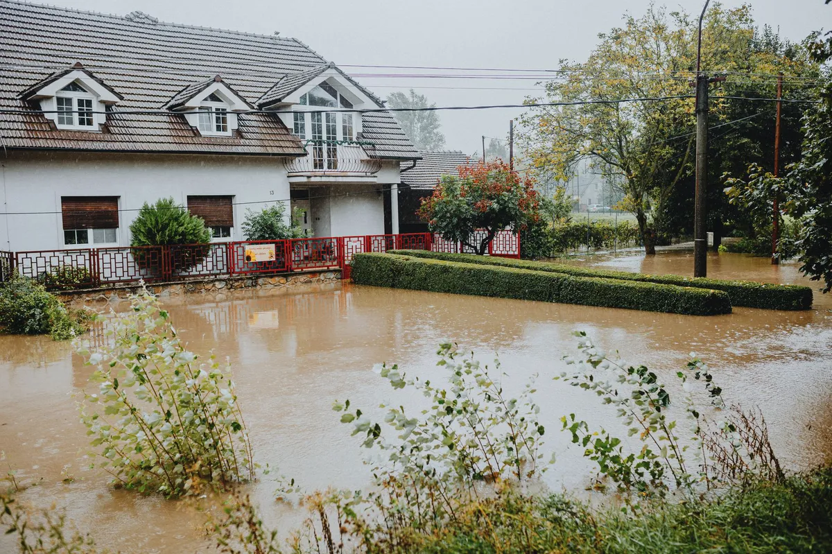 private flood insurance data