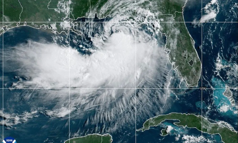 Tropical Storm Bertha: Impacts on Gulf Coast Insurers and Property Owners Tropical Storm Bertha: Impacts on Gulf Coast Insurers and Property Owners