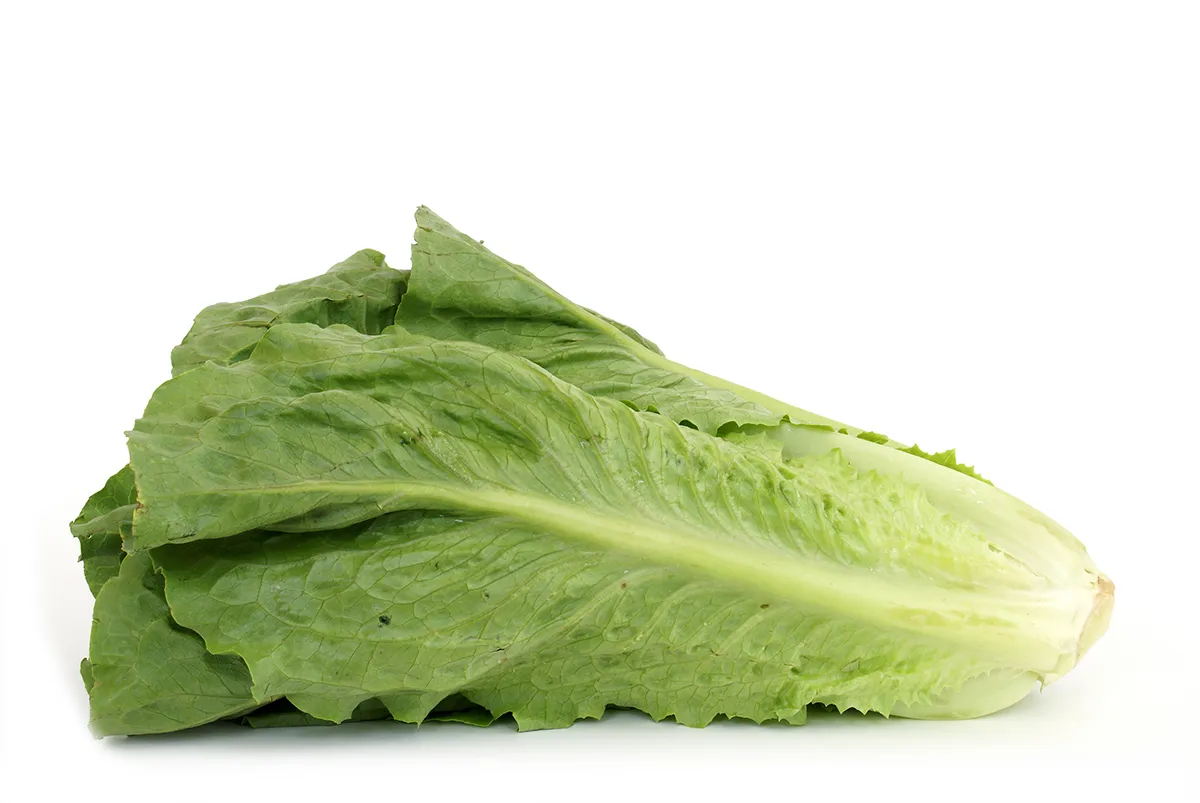 Understanding the Cyclospora Outbreak Linked to Taylor Farms: Implications and Responses