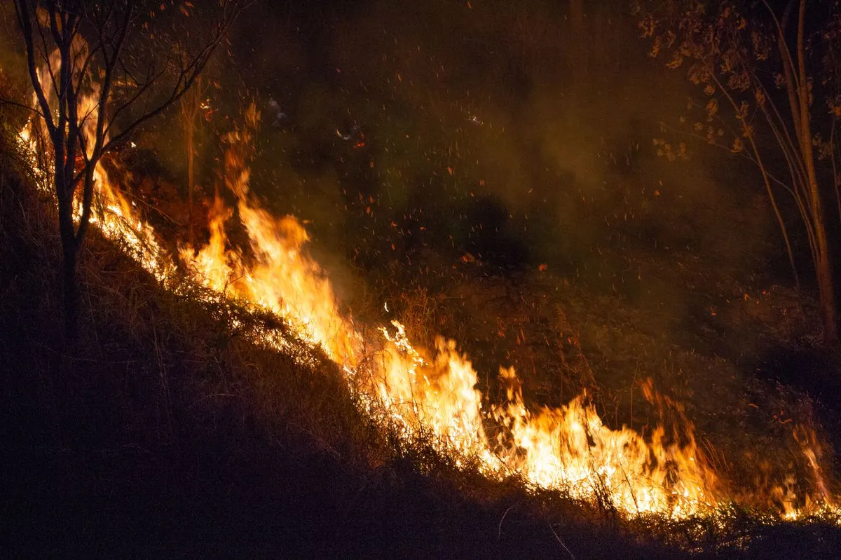 Understanding Wildfire Liability and Its Impact on Utility Insurers