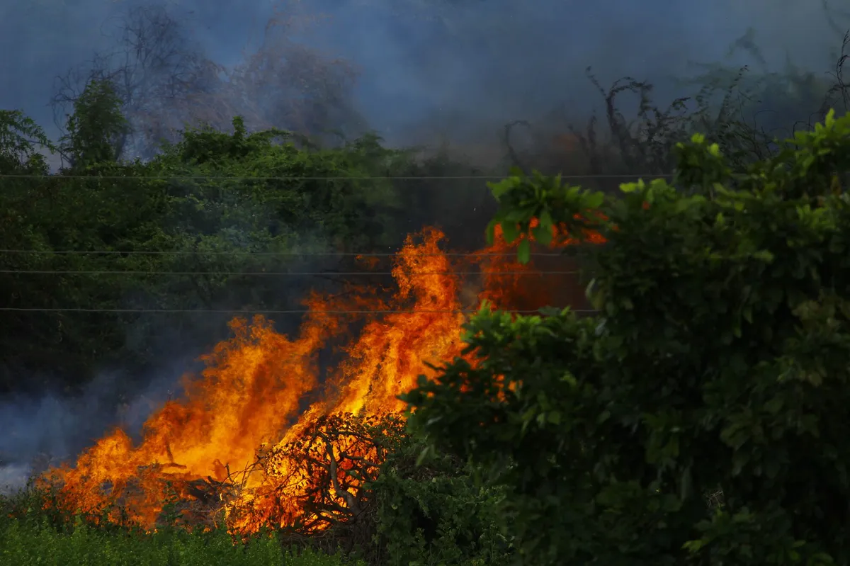 wildfire mitigation landscaping