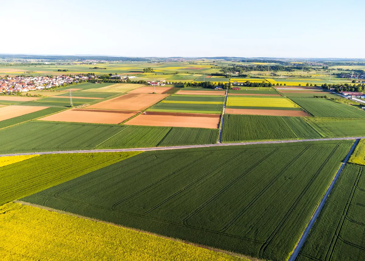 agricultural landscape with crops