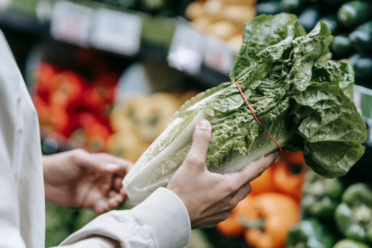 grocery store salad section