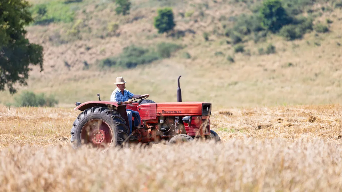 wheat field heat