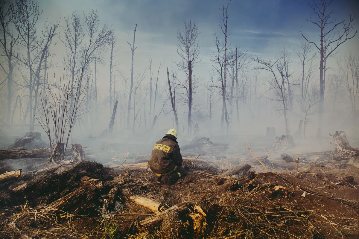 community rebuilding after wildfire