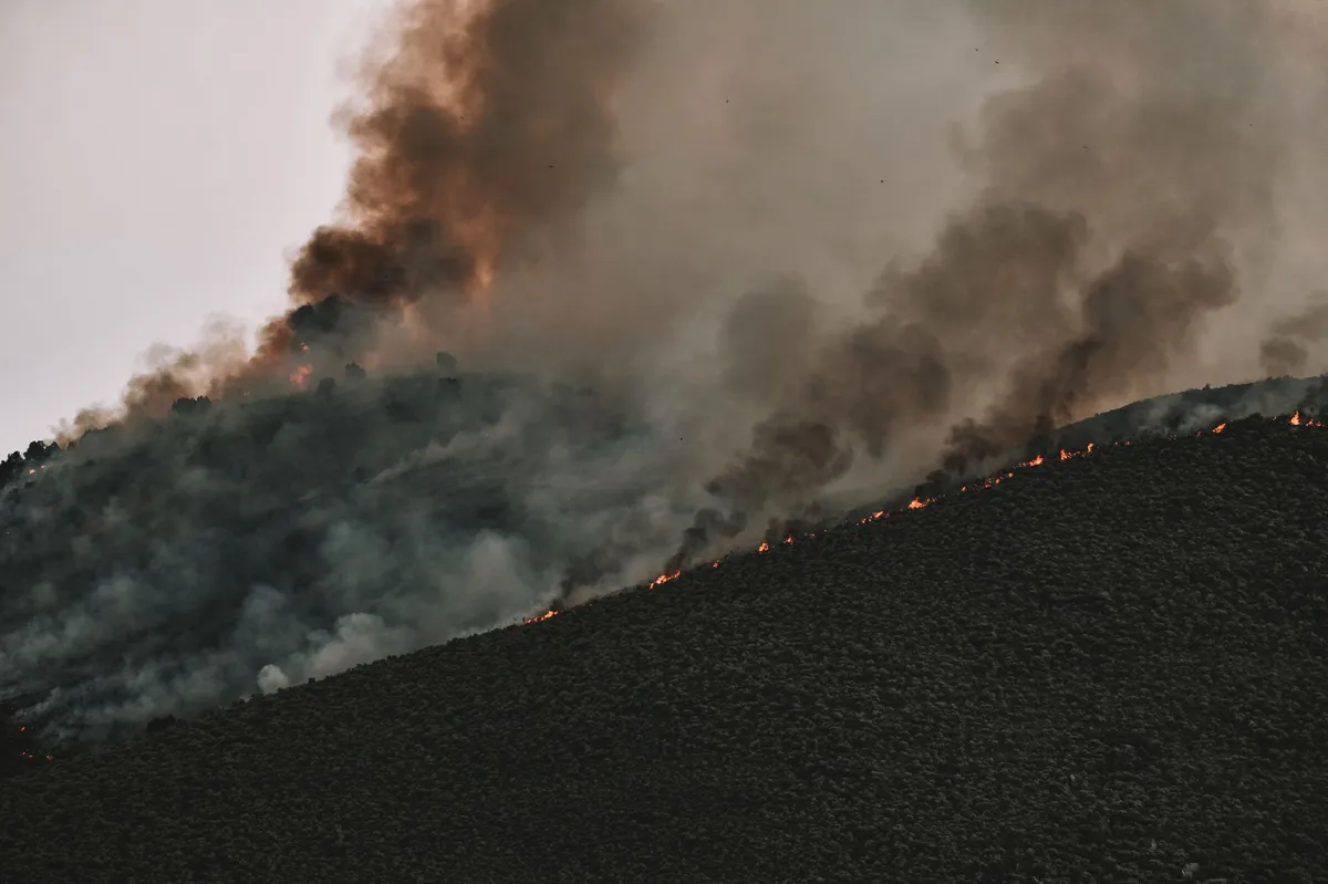 wildfire safety zone