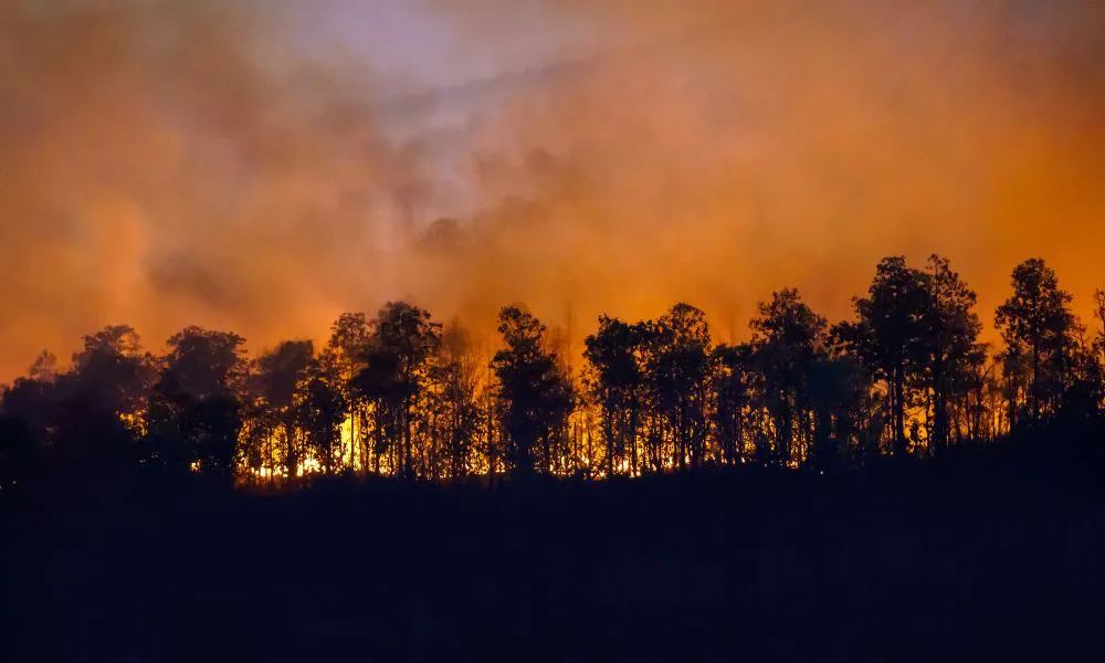 California Implements Groundbreaking Wildfire Safety Standards