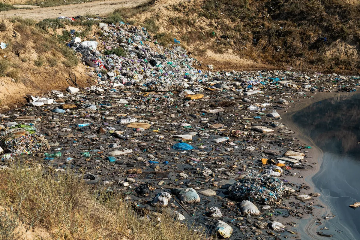 environmental contamination impact