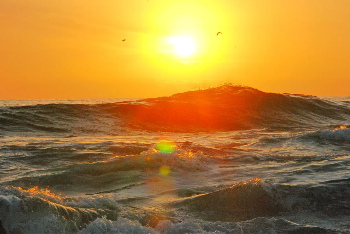 Pacific Ocean warmth