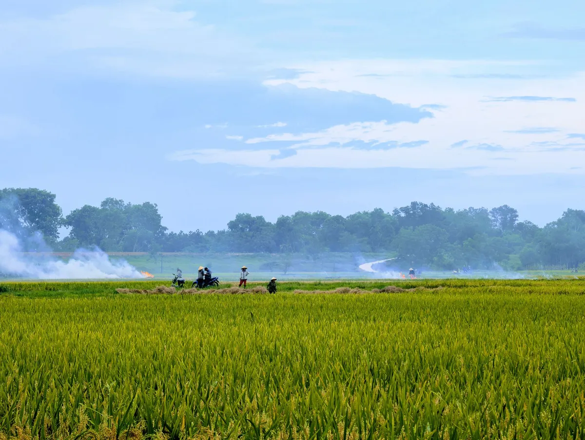 farmers working in the field