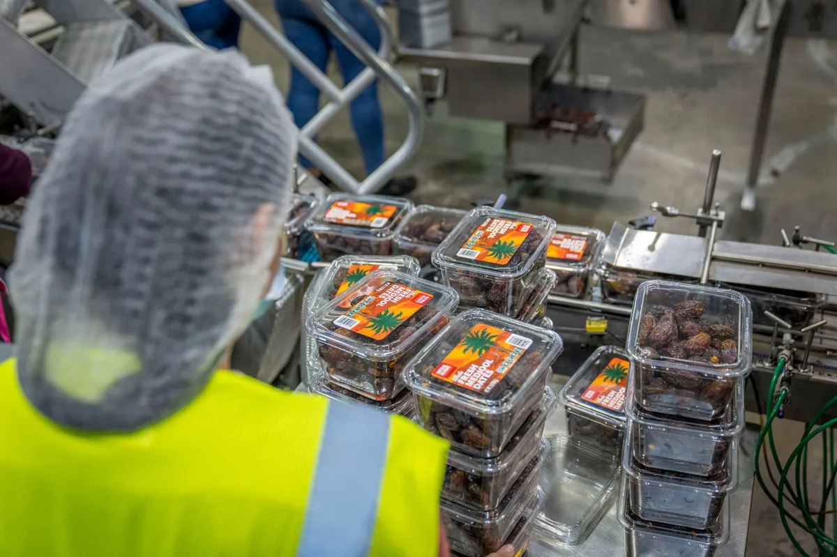 food production process