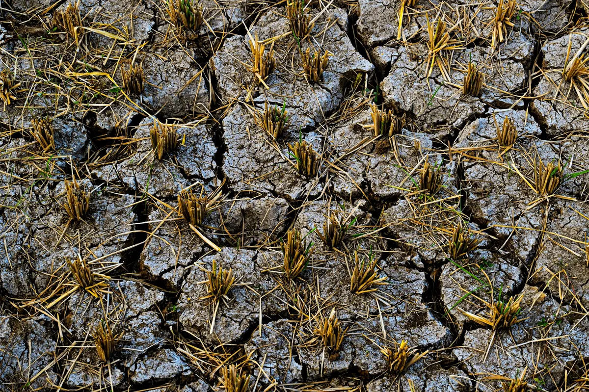 agricultural drought