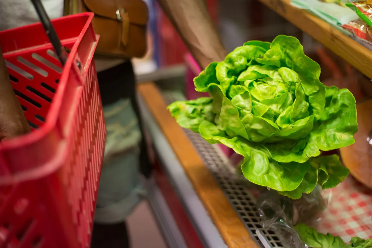 fresh lettuce in grocery store