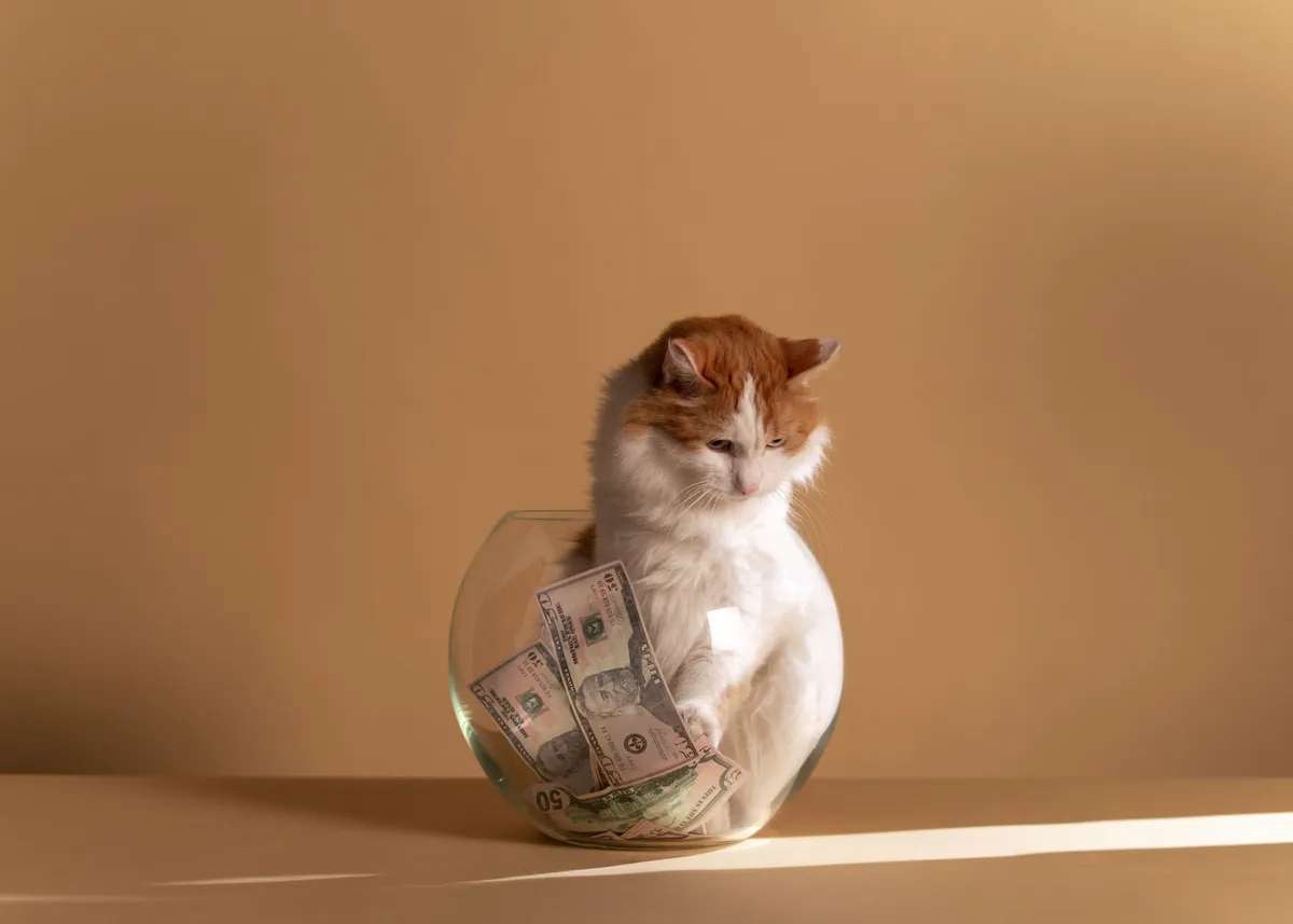 pet insurance concept