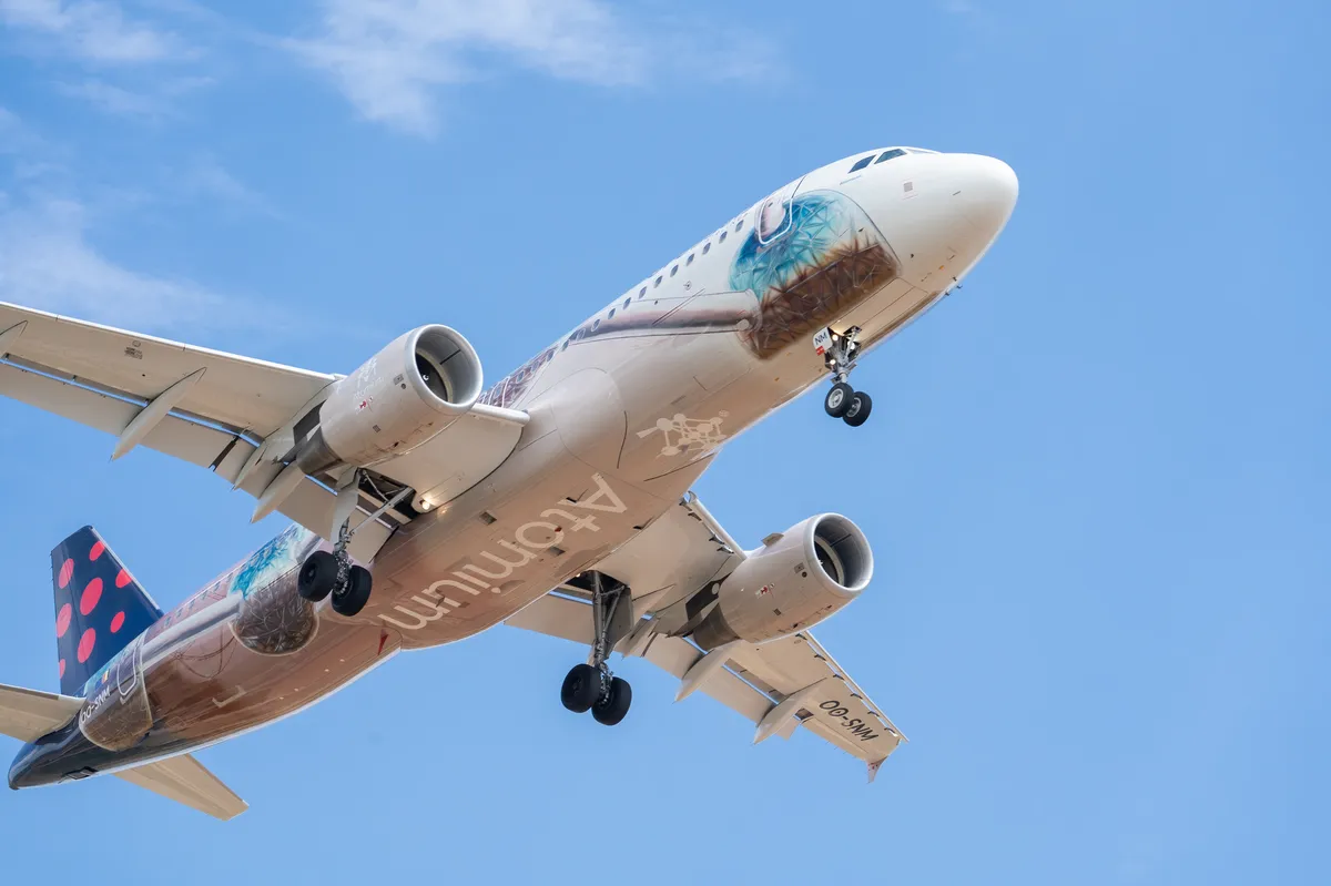 airplane in flight