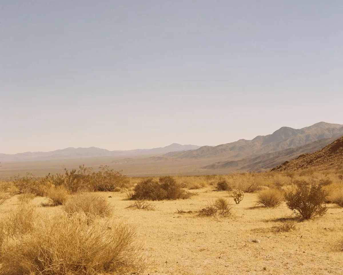 dry landscape California