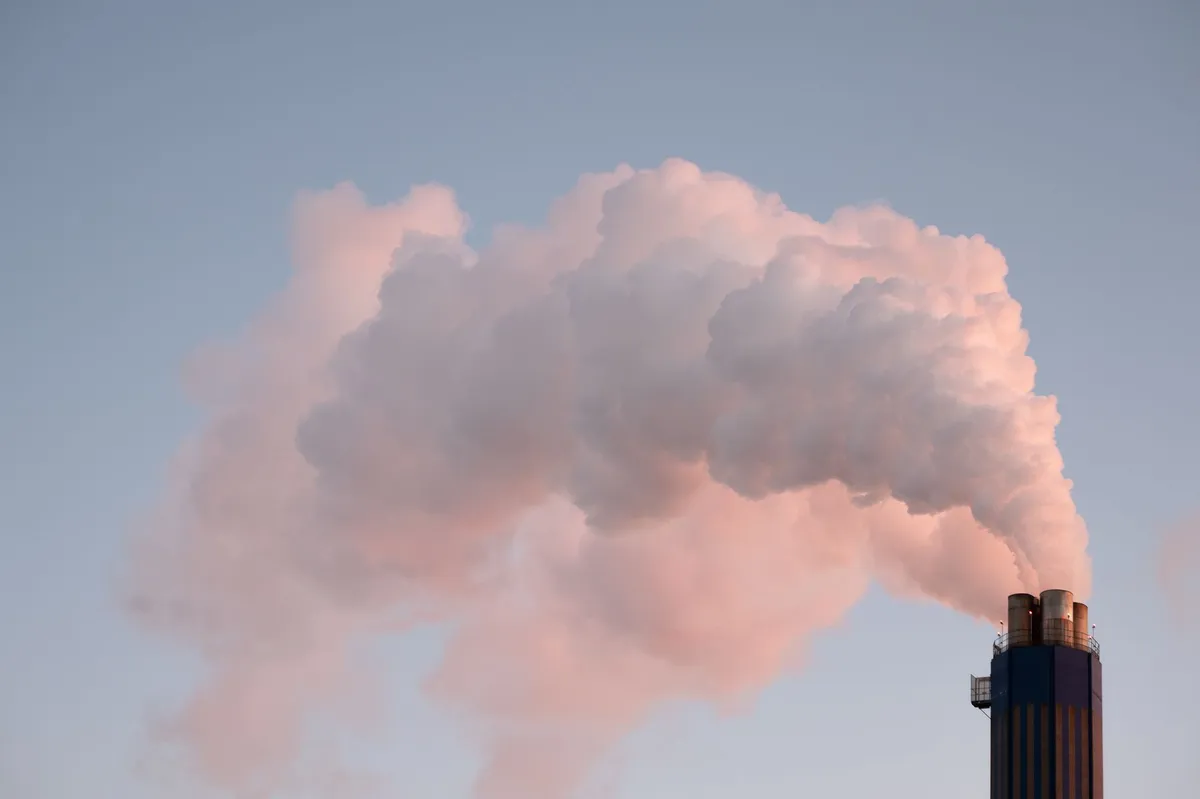 smoke contamination inspection