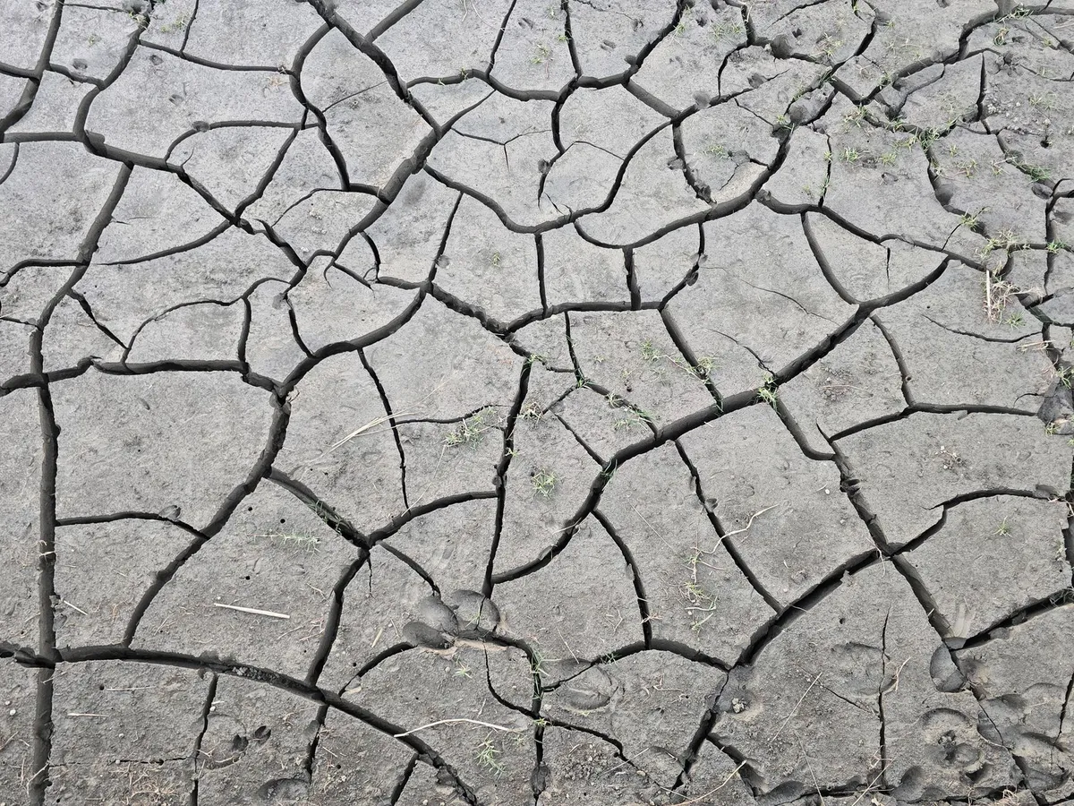 climate change effects