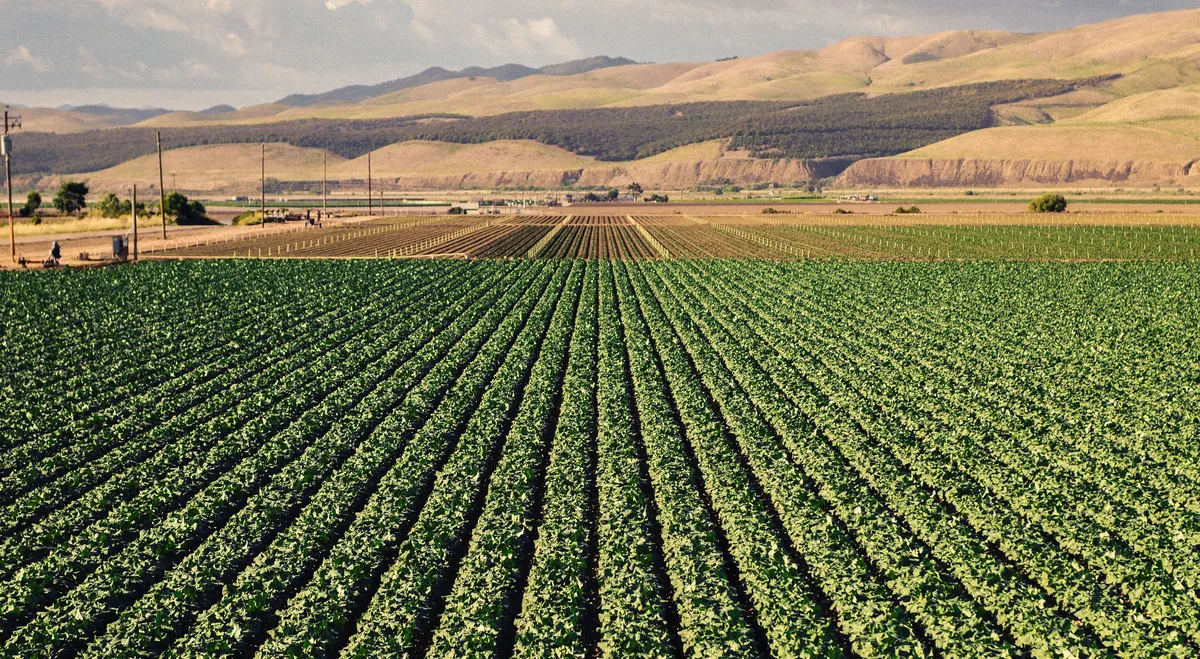 Relation Insurance Expands Agricultural Footprint with New Acquisition