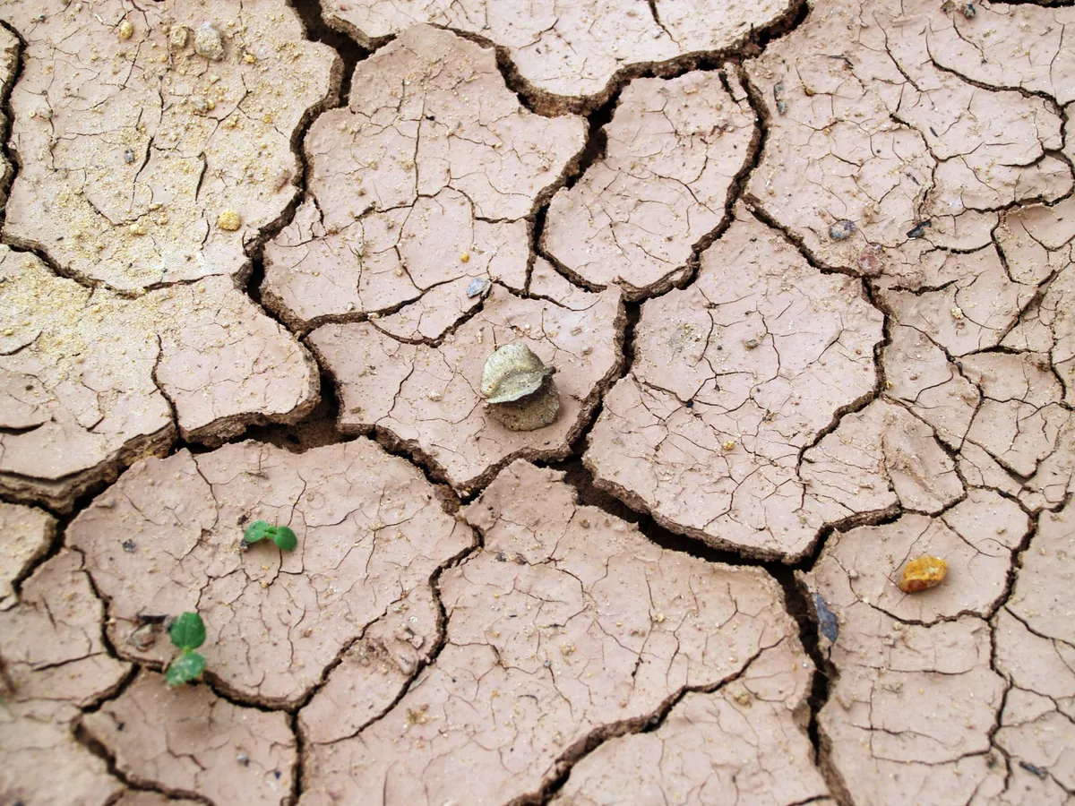 climate change impact on landscape