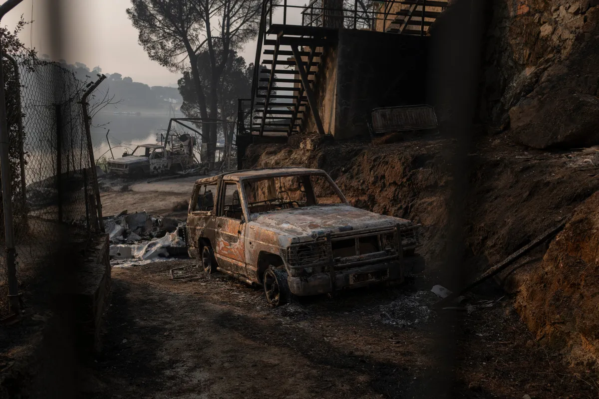 Rising Wildfire Risks Drive Surge in Catastrophe Bond Sales
