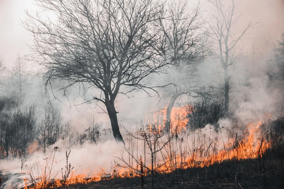 wildfire prevention strategies