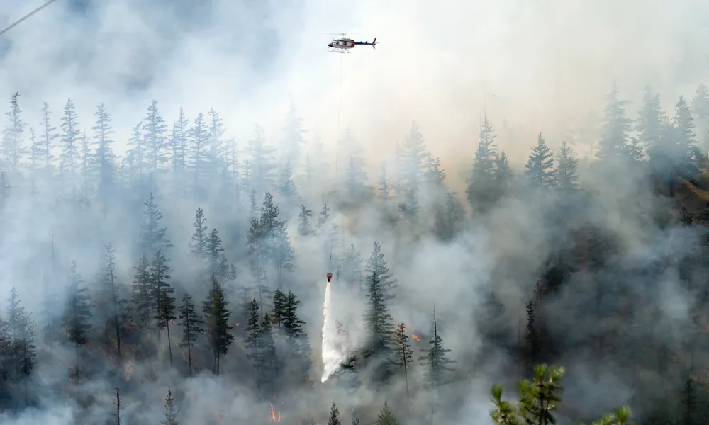 RockRose Risk Secures $12.5 Million to Transform Wildfire Insurance Landscape