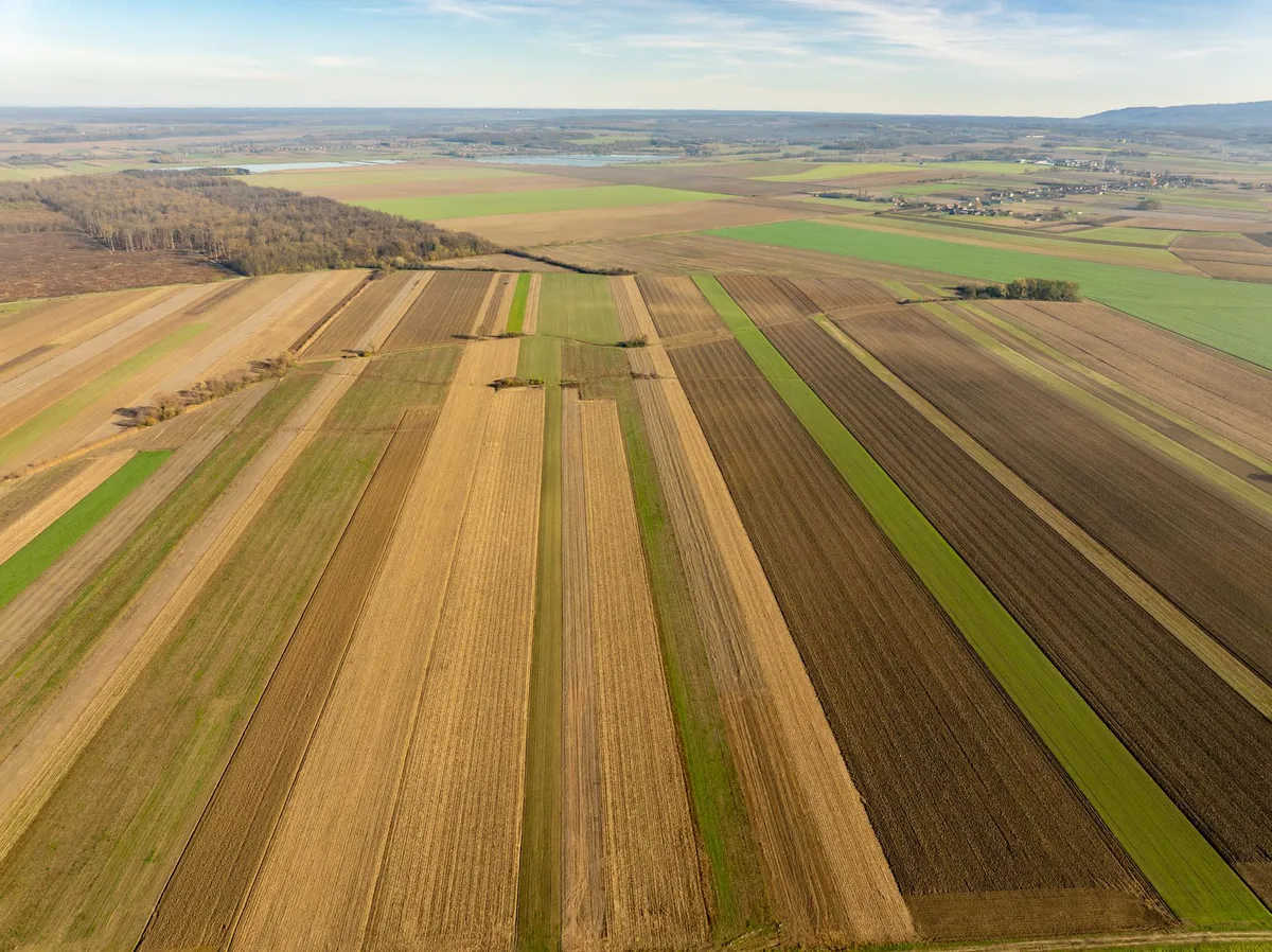 agricultural landscape