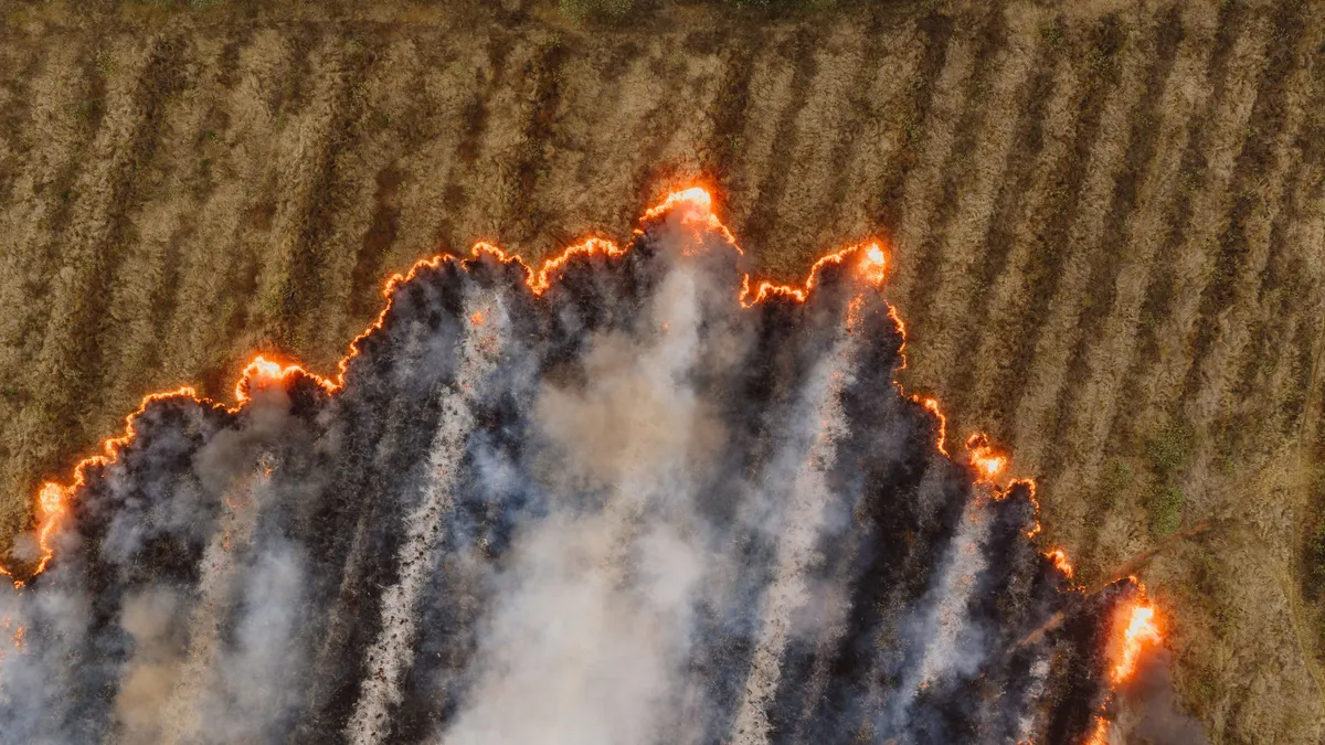 aerial view of wildfires