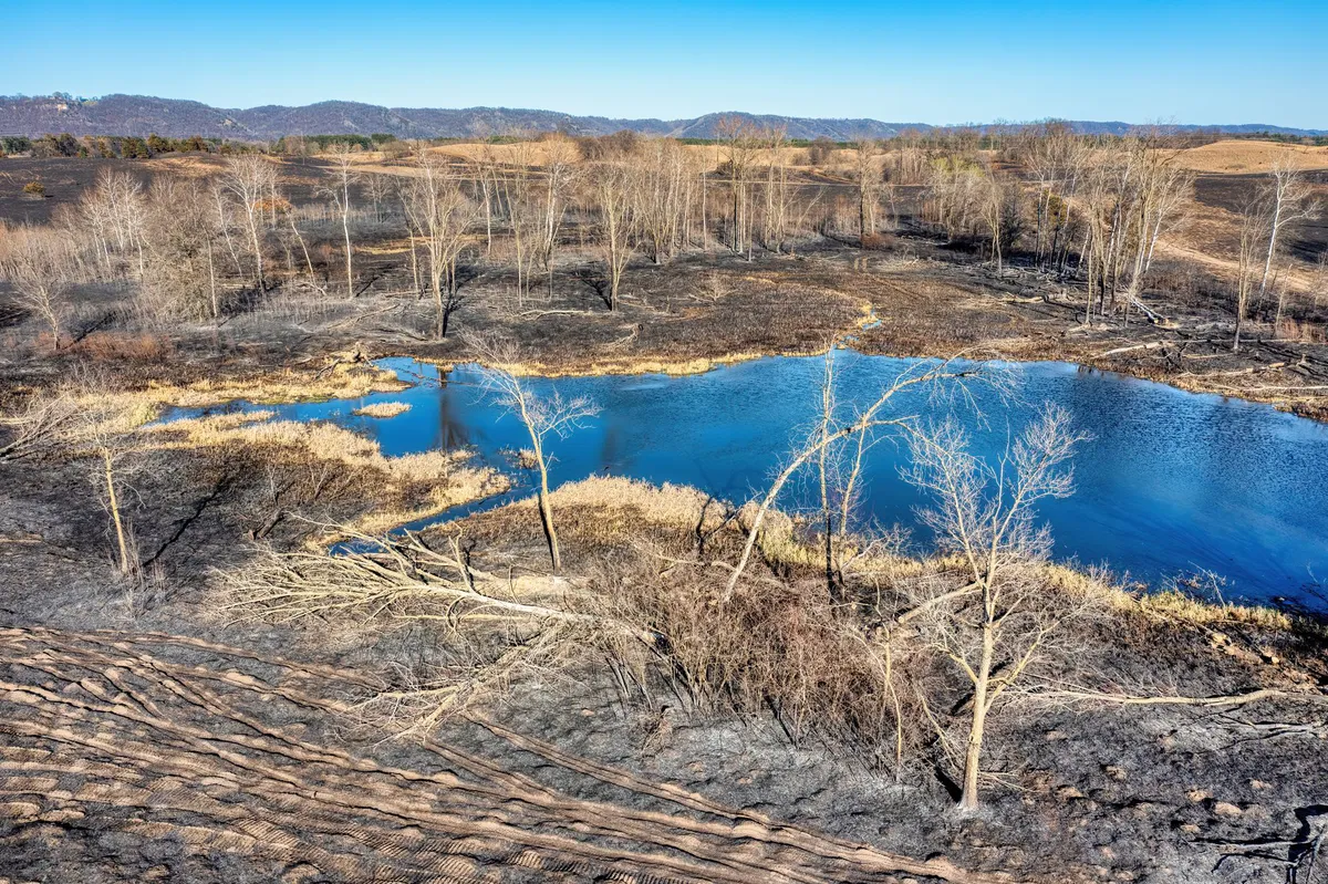 wildfire in the American West